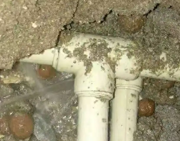 孟连测漏水多少钱