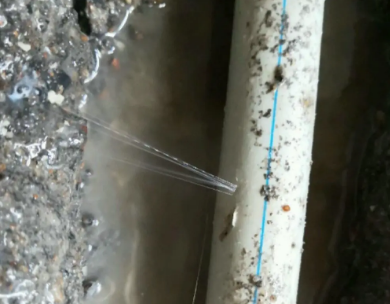 孟连测漏水哪家好