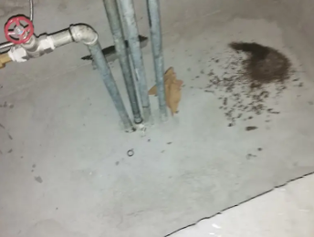 孟连卫生间测漏水价格明细