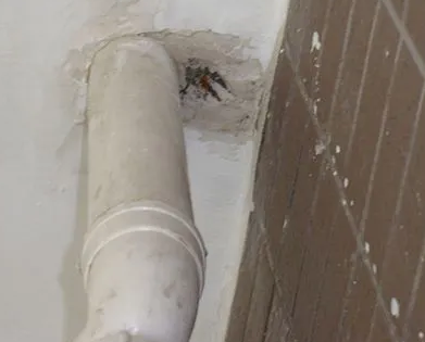 孟连漏水检测哪家好